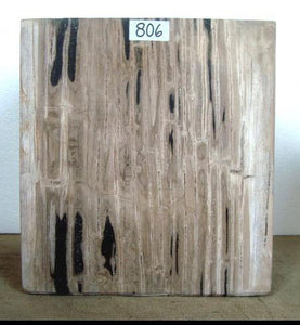 Petrified Wood Cube Side Table #806 