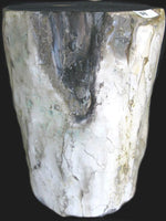 Load image into Gallery viewer, Petrified Wood Side Table #568-EH

