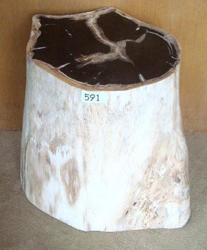 Petrified Wood Side Table #591-EH 