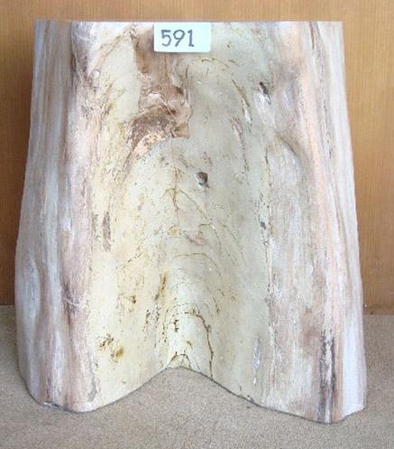 Petrified Wood Side Table #591-EH 
