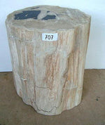 Load image into Gallery viewer, Petrified Wood Side Table #707-EH
