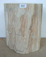Load image into Gallery viewer, Petrified Wood Side Table #707-EH
