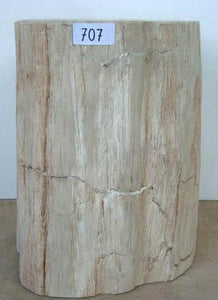 Petrified Wood Side Table #707-EH