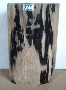 Petrified Wood Side Table #723-EH 
