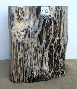 Petrified Wood Side Table #788-EH 