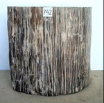 Load image into Gallery viewer, Petrified Wood Side Table #788-EH 
