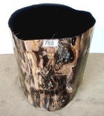 Load image into Gallery viewer, Petrified Wood Side Table #788-EH 
