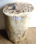 Load image into Gallery viewer, Petrified Wood Side Table #891-EH 
