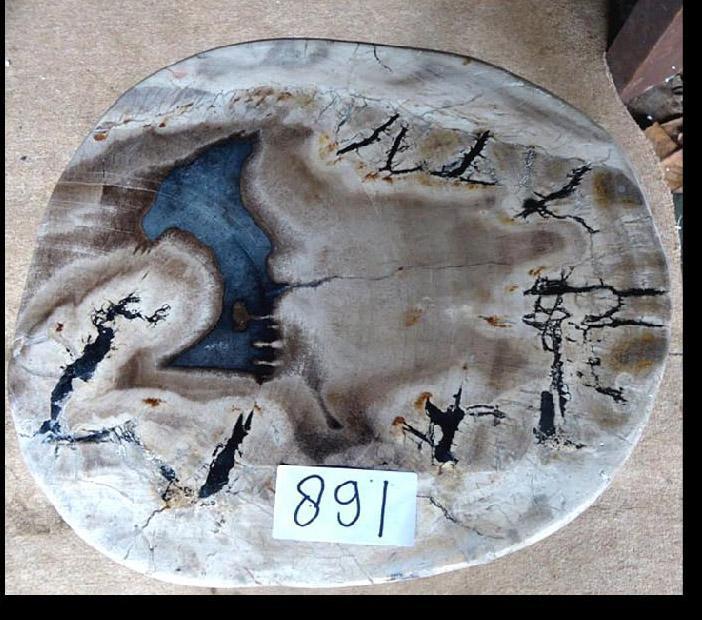 Petrified Wood Side Table #891-EH 