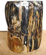 Load image into Gallery viewer, Petrified Wood Side Table #905-EH 
