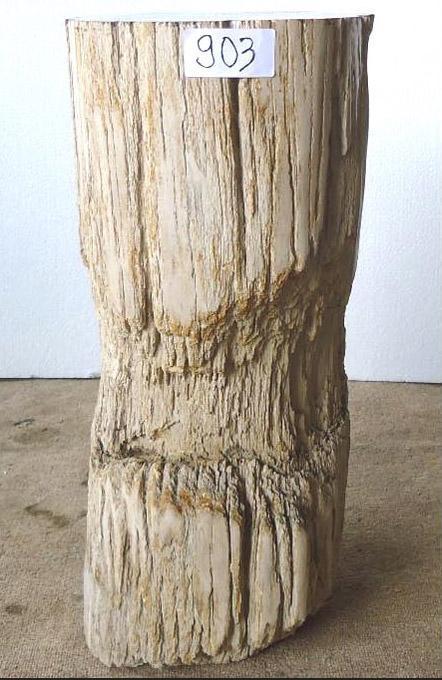 Petrified Wood Side Table Black Pine #903B-EH