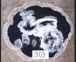 Load image into Gallery viewer, Petrified Wood Side Table Black Pine #903B-EH
