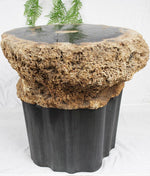 Load image into Gallery viewer, RARE Petrified Coconut Palm Side Table #903-EH
