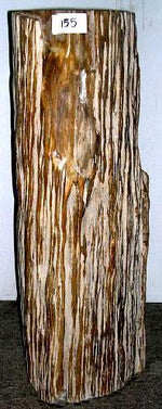 Load image into Gallery viewer, Petrified Wood Pedestal Table #155-EH

