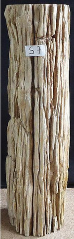 Load image into Gallery viewer, Petrified Wood Sculpture #007-A-EH 
