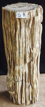 Load image into Gallery viewer, Petrified Wood Sculpture #007-A-EH 
