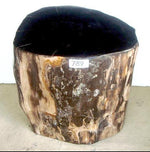 Load image into Gallery viewer, Petrified Wood Side Table #789-EH 
