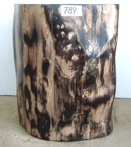 Petrified Wood Side Table #789-EH 