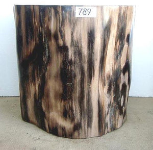Petrified Wood Side Table #789-EH 