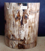 Load image into Gallery viewer, Petrified Wood Side Table #866-EH 

