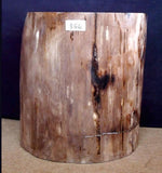 Load image into Gallery viewer, Petrified Wood Side Table #866-EH 
