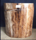 Load image into Gallery viewer, Petrified Wood Side Table #866-EH
