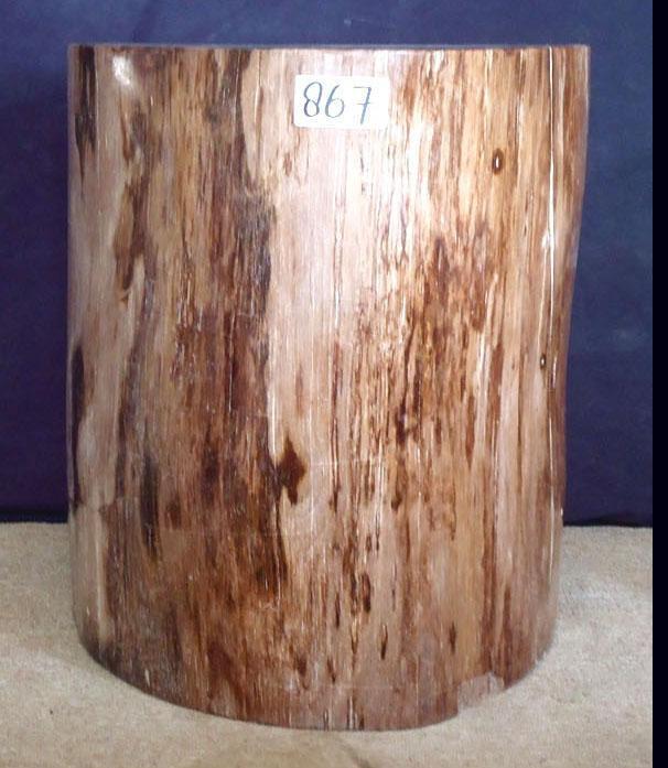 Petrified Wood Side Table #867-EH 