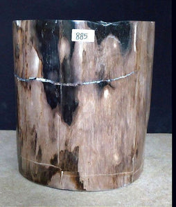 Petrified Wood Side Table #885-EH 