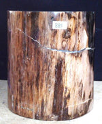 Load image into Gallery viewer, Petrified Wood Side Table #885-EH 
