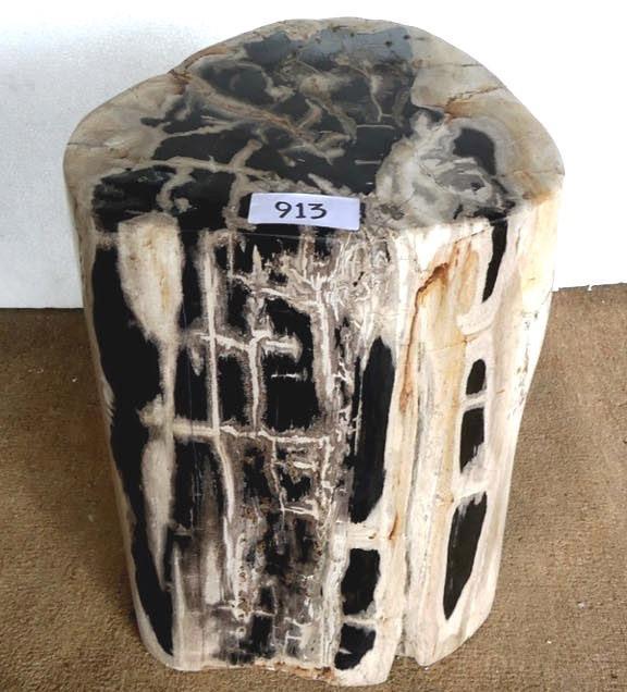 Petrified Wood Side Table #913-EH 