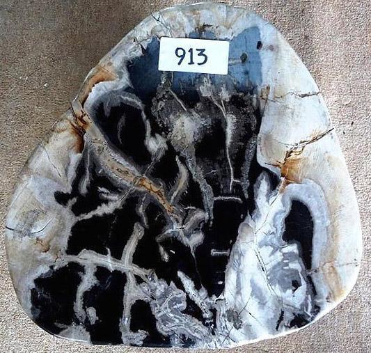 Petrified Wood Side Table #913-EH 