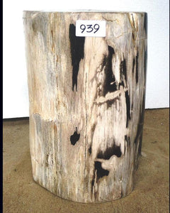 Petrified Wood Side Table #939-EH