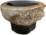 Load image into Gallery viewer, RARE Petrified Coconut Palm Coffee Table #905-EH Steel Base
