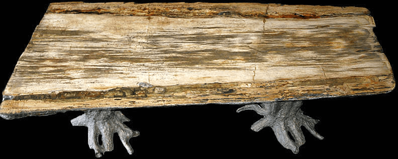 GIANT Petrified Wood Slab #1-EH