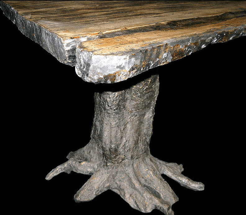 GIANT Petrified Wood Slab #1-EH
