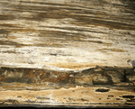 Load image into Gallery viewer, GIANT Petrified Wood Slab #1-EH

