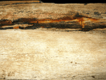 Load image into Gallery viewer, GIANT Petrified Wood Slab #1-EH
