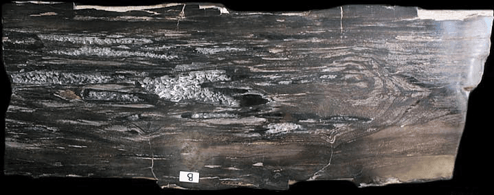 Mahogany Petrified Wood Table W Crystal Resin #808-EH