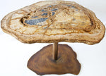 Load image into Gallery viewer, RARE Gem Petrified Coconut Palm Table #6
