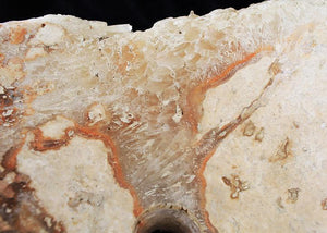 Quartz Geode Crystal Sink #12 Spectacular Crystals
